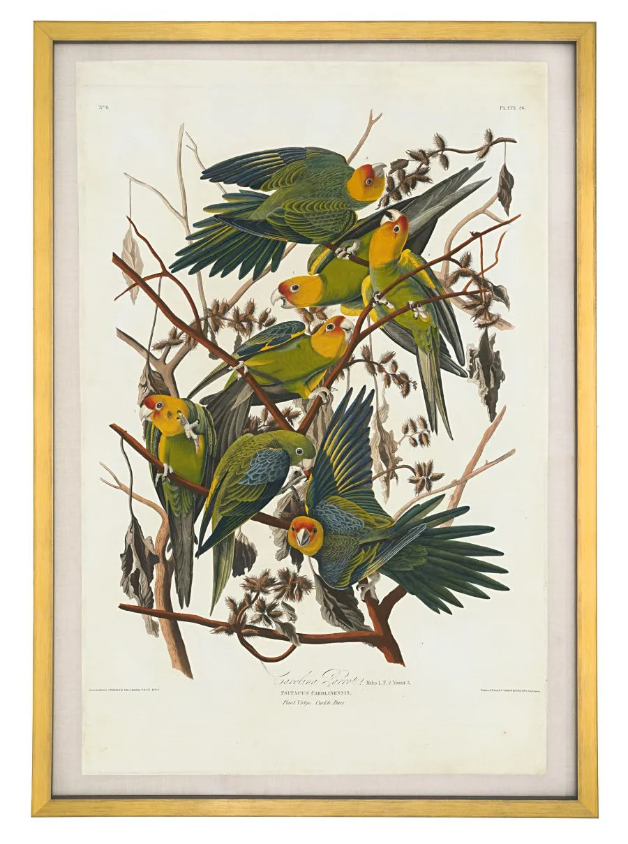 BARRY-LAWRENCE-RUDERMAN-1-900×1209